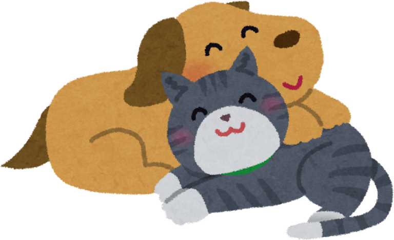 Golden retriever cuddling a grey cat